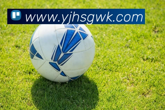 J9集团APP 封面图