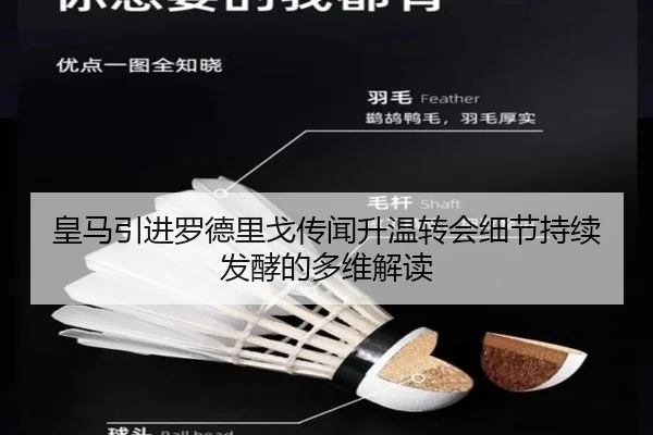皇马引进罗德里戈传闻升温转会细节持续发酵的多维解读